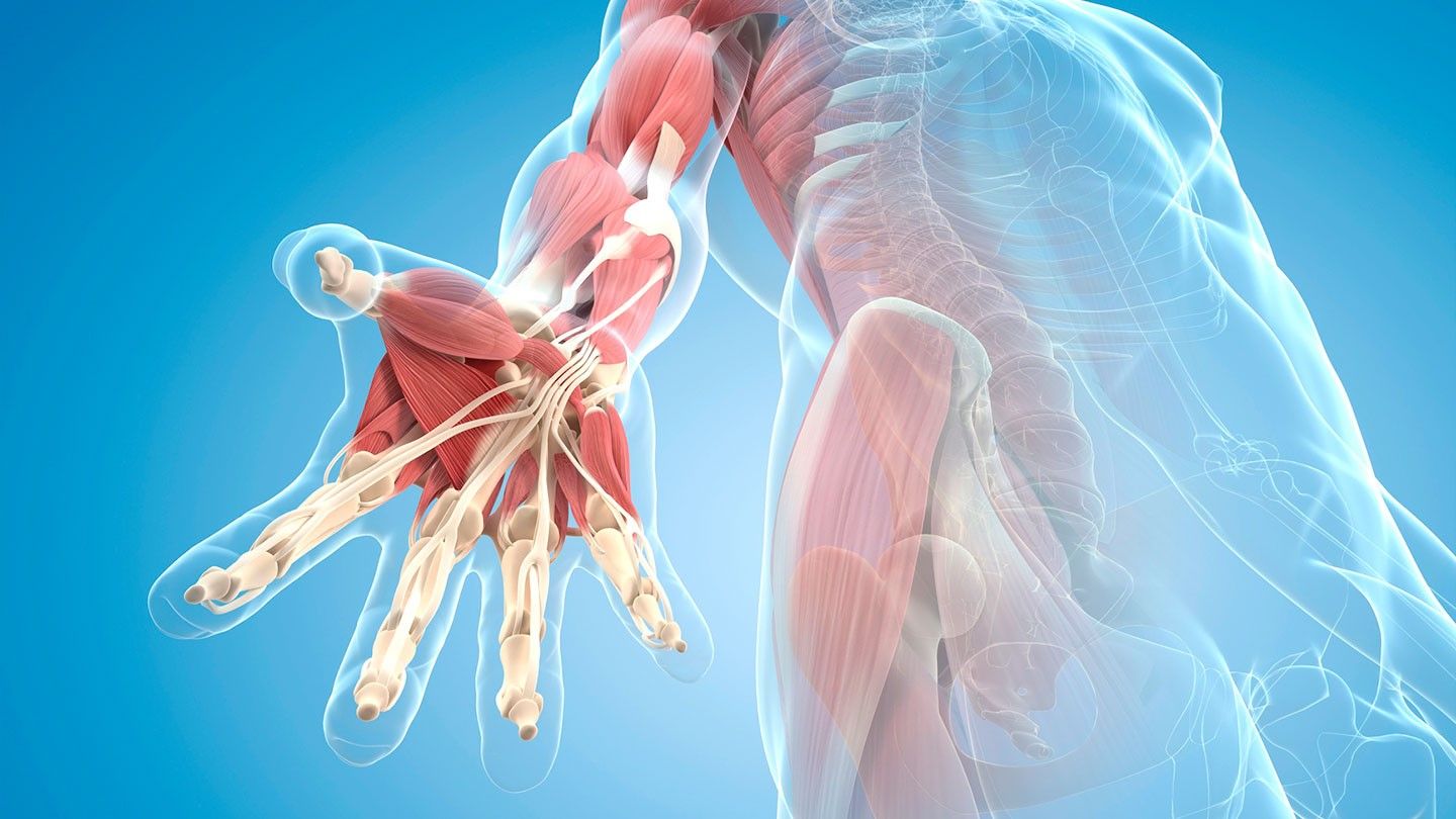role-of-fascia-in-ra-1440x810